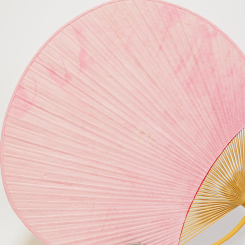 【追風】房州うちわ 大万月型「夢見桜」